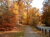 Feature Photo