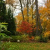 Feature Photo